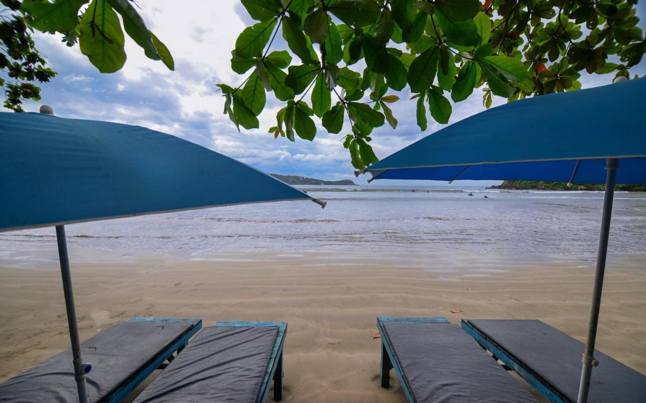 Palm Leaf Surf Cafe Hotel Galle Bagian luar foto
